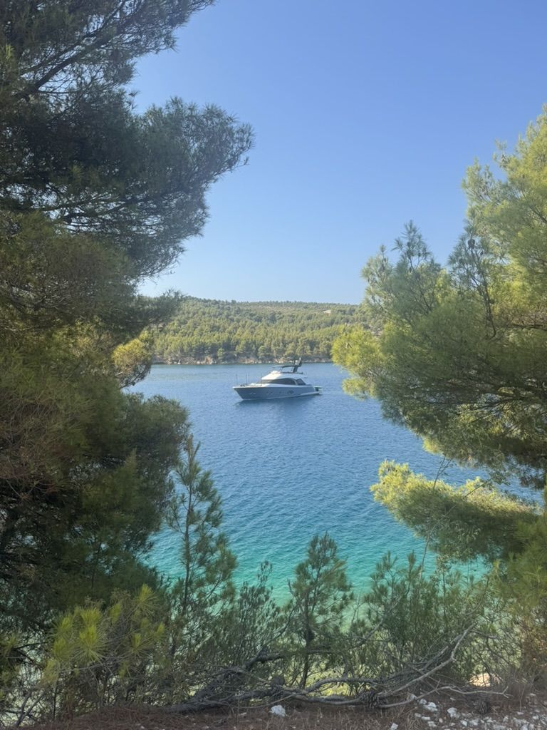 Krka und Skradin